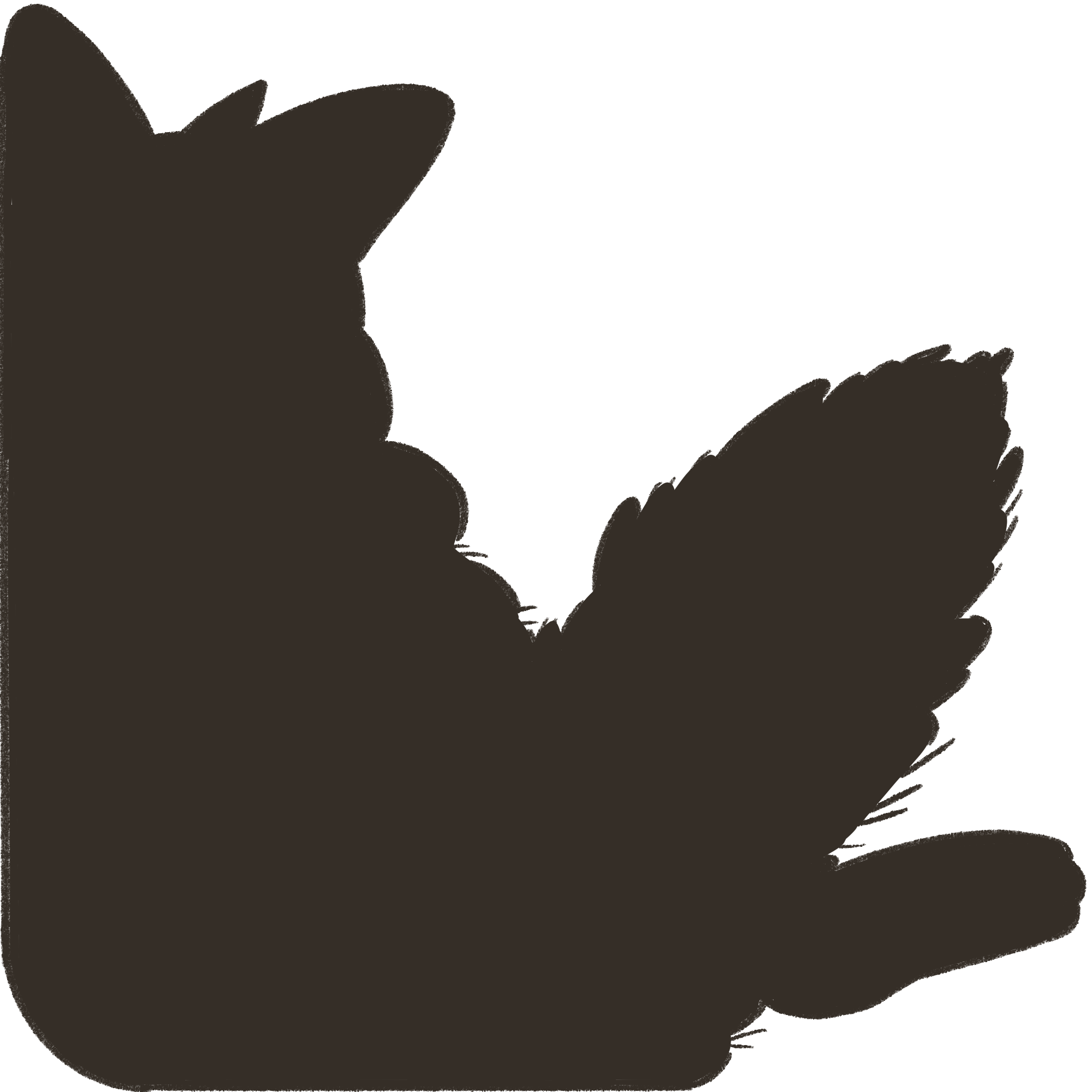 The cat you catch together